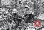 Image La campagne des soldats américains africains dans le Pacifique l'île de Bougainville en Papouasie-Nouvelle-Guinée, 1944, de la seconde 44 séquences d'archives historiques vidéo 65675074325