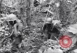 Image La campagne des soldats américains africains dans le Pacifique l'île de Bougainville en Papouasie-Nouvelle-Guinée, 1944, de la seconde 45 séquences d'archives historiques vidéo 65675074325
