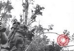 Image La campagne des soldats américains africains dans le Pacifique l'île de Bougainville en Papouasie-Nouvelle-Guinée, 1944, de la seconde 56 séquences d'archives historiques vidéo 65675074325