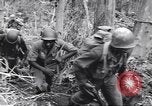 Image soldats nègres l'île de Bougainville en Papouasie-Nouvelle-Guinée, 1944, de la seconde 33 séquences d'archives historiques vidéo 65675074326