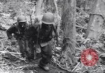 Image soldats nègres l'île de Bougainville en Papouasie-Nouvelle-Guinée, 1944, de la seconde 41 séquences d'archives historiques vidéo 65675074326