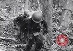 Image soldats nègres l'île de Bougainville en Papouasie-Nouvelle-Guinée, 1944, de la seconde 42 séquences d'archives historiques vidéo 65675074326