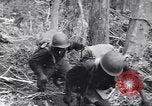 Image soldats nègres l'île de Bougainville en Papouasie-Nouvelle-Guinée, 1944, de la seconde 43 séquences d'archives historiques vidéo 65675074326
