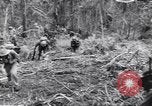 Image soldats nègres l'île de Bougainville en Papouasie-Nouvelle-Guinée, 1944, de la seconde 47 séquences d'archives historiques vidéo 65675074326