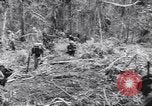 Image soldats nègres l'île de Bougainville en Papouasie-Nouvelle-Guinée, 1944, de la seconde 49 séquences d'archives historiques vidéo 65675074326