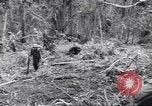 Image soldats nègres l'île de Bougainville en Papouasie-Nouvelle-Guinée, 1944, de la seconde 52 séquences d'archives historiques vidéo 65675074326