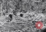 Image soldats nègres l'île de Bougainville en Papouasie-Nouvelle-Guinée, 1944, de la seconde 53 séquences d'archives historiques vidéo 65675074326
