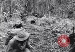 Image soldats nègres l'île de Bougainville en Papouasie-Nouvelle-Guinée, 1944, de la seconde 61 séquences d'archives historiques vidéo 65675074326