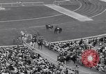 Image of crowded stadium Rome Italy, 1960, second 60 stock footage video 65675074349