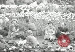 Image British foule fête le Jour de la Victoire en Europe London England Royaume-Uni, 1945, de la seconde 13 séquences d'archives historiques vidéo 65675074357