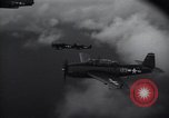 Image of TBF Avenger torpedo bomber Taiwan, 1945, second 46 stock footage video 65675074359