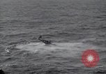 Standbild F6F Hellcat Fighter Pazifik, 1944, aus Sekunde 7 historischem Filmmaterial Videoclip 65675074362