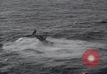 Standbild F6F Hellcat Fighter Pazifik, 1944, aus Sekunde 12 historischem Filmmaterial Videoclip 65675074362