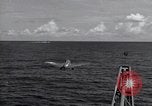 Image of F6F Hellcat fighter Pacific Ocean, 1944, second 54 stock footage video 65675074364