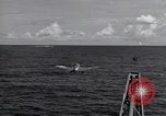 Image of F6F Hellcat fighter Pacific Ocean, 1944, second 55 stock footage video 65675074364