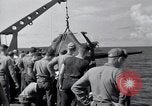 Standbild F4F Wildcat Kampfflugzeuge Palau Inseln, 1944, aus Sekunde 8 historischem Filmmaterial Videoclip 65675074370