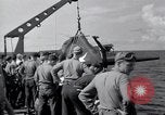 Standbild F4F Wildcat Kampfflugzeuge Palau Inseln, 1944, aus Sekunde 9 historischem Filmmaterial Videoclip 65675074370
