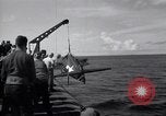 Standbild F4F Wildcat Kampfflugzeuge Palau Inseln, 1944, aus Sekunde 14 historischem Filmmaterial Videoclip 65675074370
