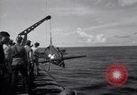 Standbild F4F Wildcat Kampfflugzeuge Palau Inseln, 1944, aus Sekunde 16 historischem Filmmaterial Videoclip 65675074370