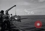 Standbild F4F Wildcat Kampfflugzeuge Palau Inseln, 1944, aus Sekunde 17 historischem Filmmaterial Videoclip 65675074370
