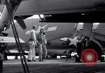Image of F4F Wildcat fighter planes Palau Islands, 1944, second 33 stock footage video 65675074374
