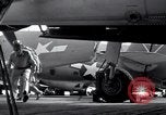 Image of F4F Wildcat fighter planes Palau Islands, 1944, second 44 stock footage video 65675074374