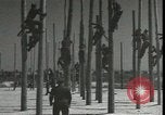 Image Signal Corps poseurs de ligne Georgia United States USA, 1951, de la seconde 13 séquences d'archives historiques vidéo 65675074381