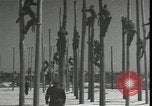 Image Signal Corps poseurs de ligne Georgia United States USA, 1951, de la seconde 16 séquences d'archives historiques vidéo 65675074381