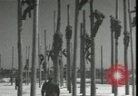 Image Signal Corps poseurs de ligne Georgia United States USA, 1951, de la seconde 19 séquences d'archives historiques vidéo 65675074381