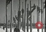 Image Signal Corps poseurs de ligne Georgia United States USA, 1951, de la seconde 21 séquences d'archives historiques vidéo 65675074381