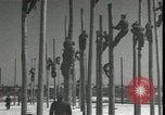 Image Signal Corps poseurs de ligne Georgia United States USA, 1951, de la seconde 24 séquences d'archives historiques vidéo 65675074381