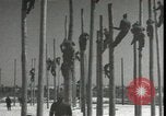 Image Signal Corps poseurs de ligne Georgia United States USA, 1951, de la seconde 25 séquences d'archives historiques vidéo 65675074381