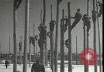 Image Signal Corps poseurs de ligne Georgia United States USA, 1951, de la seconde 26 séquences d'archives historiques vidéo 65675074381
