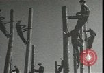 Image Signal Corps poseurs de ligne Georgia United States USA, 1951, de la seconde 51 séquences d'archives historiques vidéo 65675074381