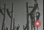 Image Signal Corps poseurs de ligne Georgia United States USA, 1951, de la seconde 52 séquences d'archives historiques vidéo 65675074381