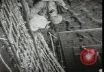 Standbild Vereinigten Staaten Marines Kiribati Gilbert Inseln, 1943, aus Sekunde 28 historischem Filmmaterial Videoclip 65675074389