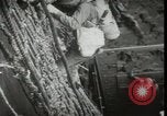 Standbild Vereinigten Staaten Marines Kiribati Gilbert Inseln, 1943, aus Sekunde 29 historischem Filmmaterial Videoclip 65675074389
