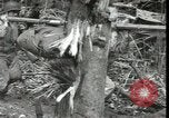 Standbild Vereinigten Staaten Marines New Britain Papua Neu Guinea, 1944, aus Sekunde 13 historischem Filmmaterial Videoclip 65675074390