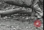 Standbild Vereinigten Staaten Marines New Britain Papua Neu Guinea, 1944, aus Sekunde 18 historischem Filmmaterial Videoclip 65675074390