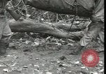 Standbild Vereinigten Staaten Marines New Britain Papua Neu Guinea, 1944, aus Sekunde 19 historischem Filmmaterial Videoclip 65675074390