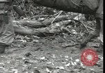 Standbild Vereinigten Staaten Marines New Britain Papua Neu Guinea, 1944, aus Sekunde 20 historischem Filmmaterial Videoclip 65675074390