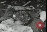 Immagine di Feriti soldati americani La Nuova Bretagna Papua Nuova Guinea, 1944, secondo 46 filmato di repertorio 65675074392