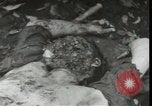 Immagine di Feriti soldati americani La Nuova Bretagna Papua Nuova Guinea, 1944, secondo 49 filmato di repertorio 65675074392