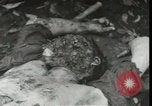 Immagine di Feriti soldati americani La Nuova Bretagna Papua Nuova Guinea, 1944, secondo 50 filmato di repertorio 65675074392