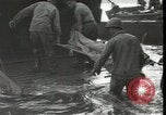 Immagine di Feriti soldati americani La Nuova Bretagna Papua Nuova Guinea, 1944, secondo 46 filmato di repertorio 65675074393