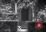 Image of Albert Einstein Princeton New Jersey USA, 1946, second 47 stock footage video 65675074402