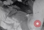 Image of Australian survivors Pacific Ocean, 1944, second 5 stock footage video 65675074406