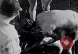 Image of Australian survivors Pacific Ocean, 1944, second 12 stock footage video 65675074406