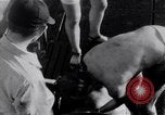 Image of Australian survivors Pacific Ocean, 1944, second 13 stock footage video 65675074406