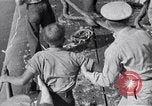 Image of Australian survivors Pacific Ocean, 1944, second 10 stock footage video 65675074407
